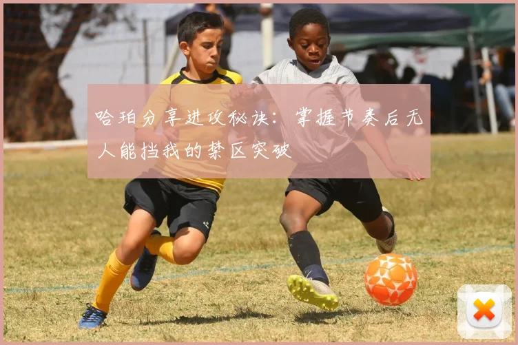 哈珀分享进攻秘诀：掌握节奏后无人能挡我的禁区突破