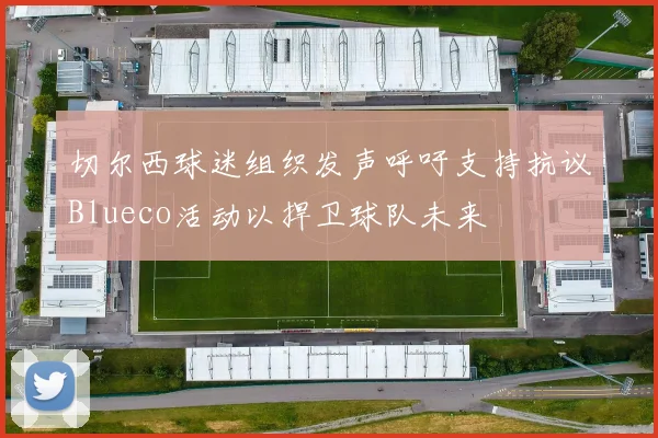 切尔西球迷组织发声呼吁支持抗议Blueco活动以捍卫球队未来