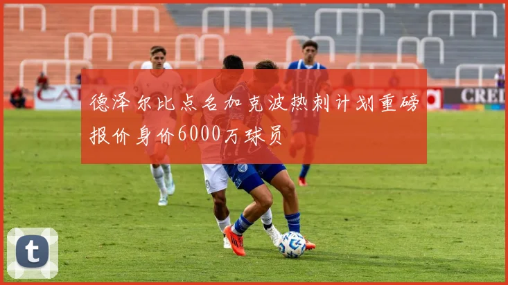 德泽尔比点名加克波热刺计划重磅报价身价6000万球员