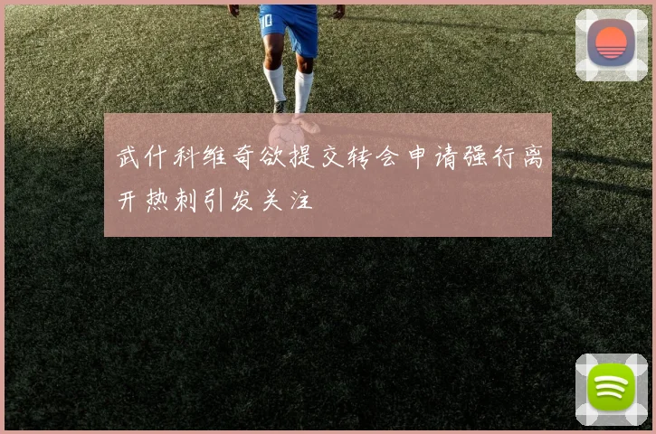 武什科维奇欲提交转会申请强行离开热刺引发关注