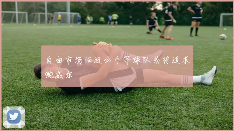 自由市场临近公牛等球队或将追求鲍威尔