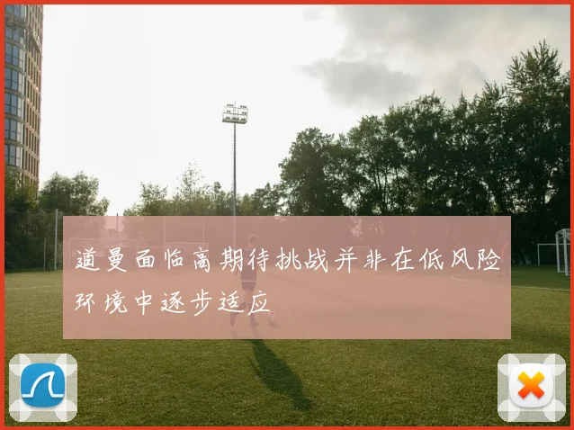 道曼面临高期待挑战并非在低风险环境中逐步适应