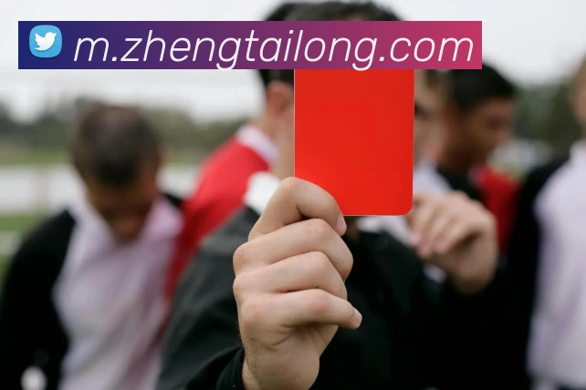 数据分析功能